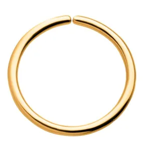 24kt Gold PVD Titanium Annealed Seamless Hoop Ring