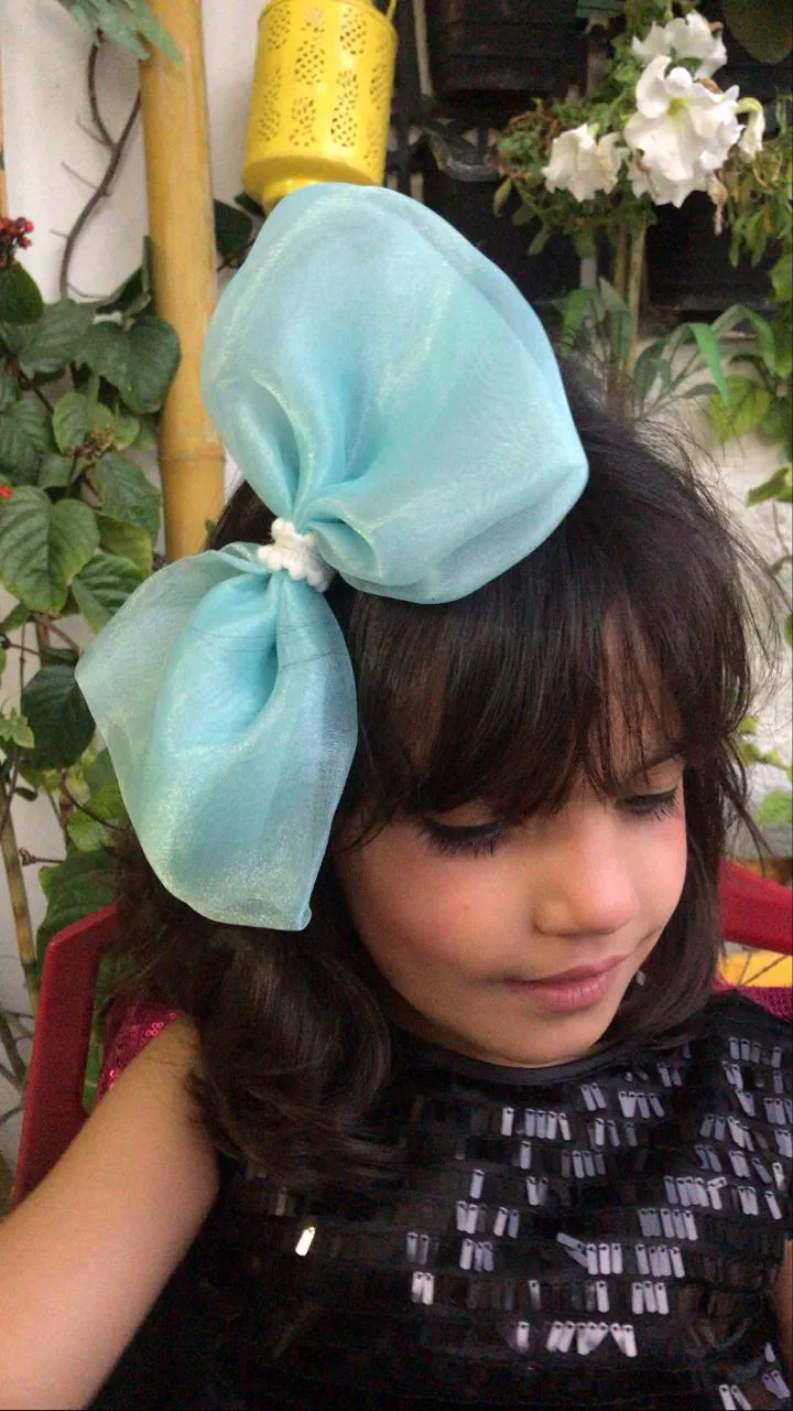 Butterfly Organza Bow Clip