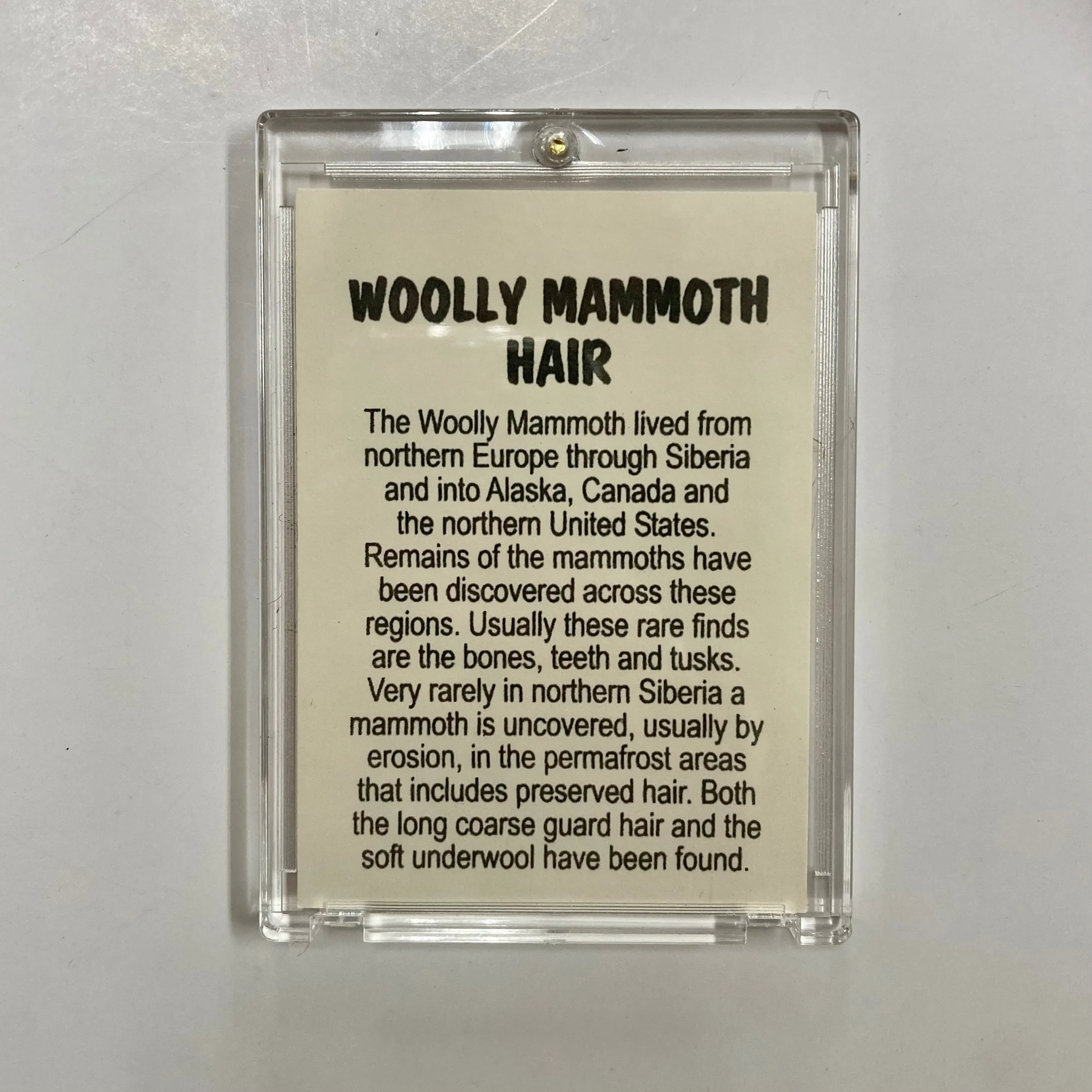 Mammoth Hair