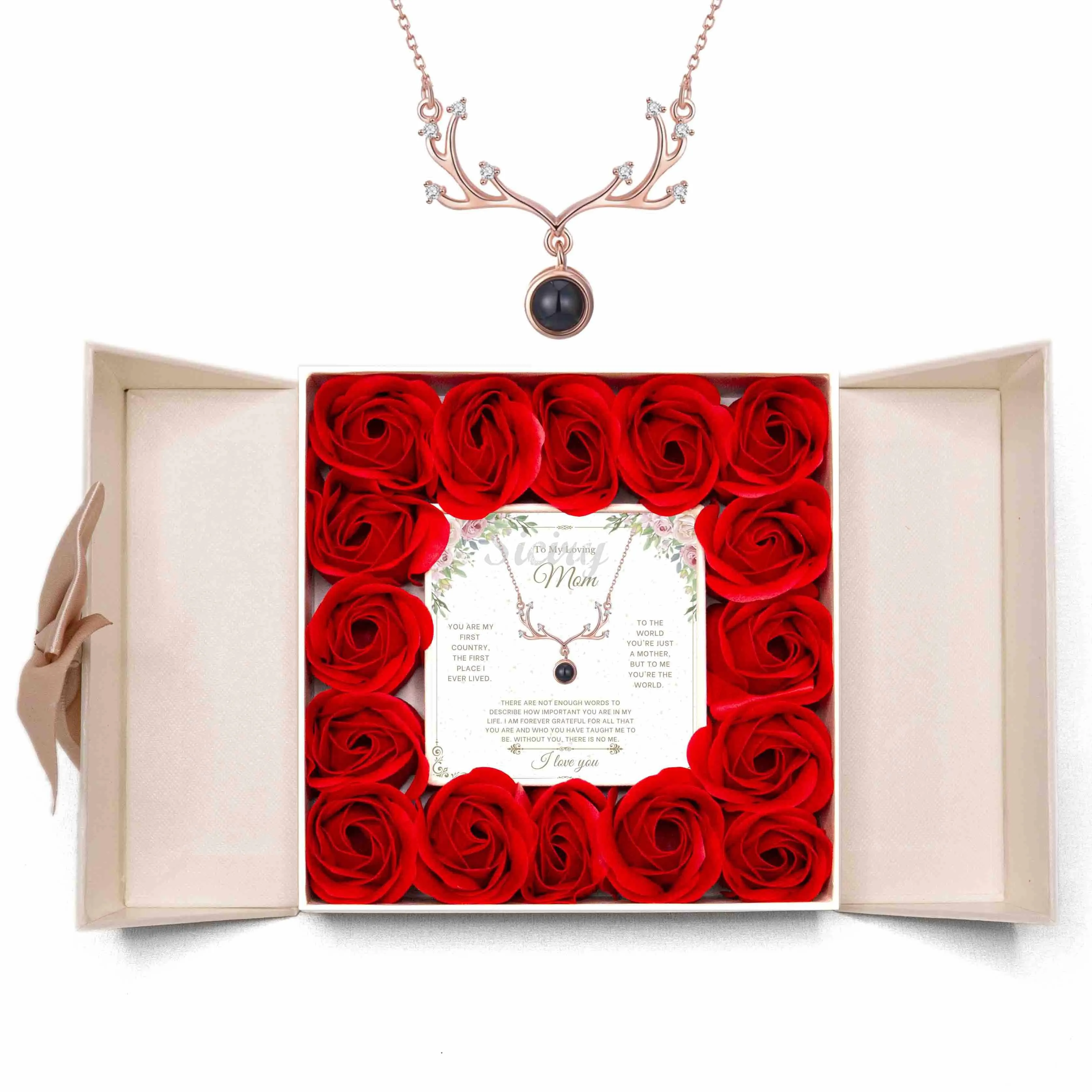 Valentine's Day Discount 50%OFF-I Love You 100 Languages Projection Necklace